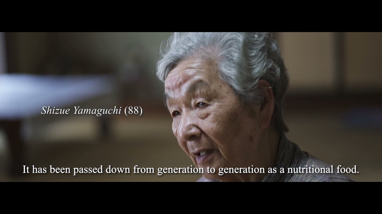 Edible Seaweed, Kajime &mdash; Passing Down Traditional Knowledge (Noto's Satoyama & Satoumi)