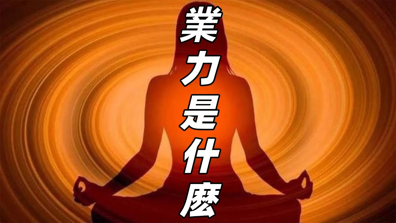 業力是什麽意思？為什麽業力因果能控制妳的人生？如何擺脫業力牽引？#業力是什麽 #業力 #修心修行 #覺醒開悟 #國學智慧