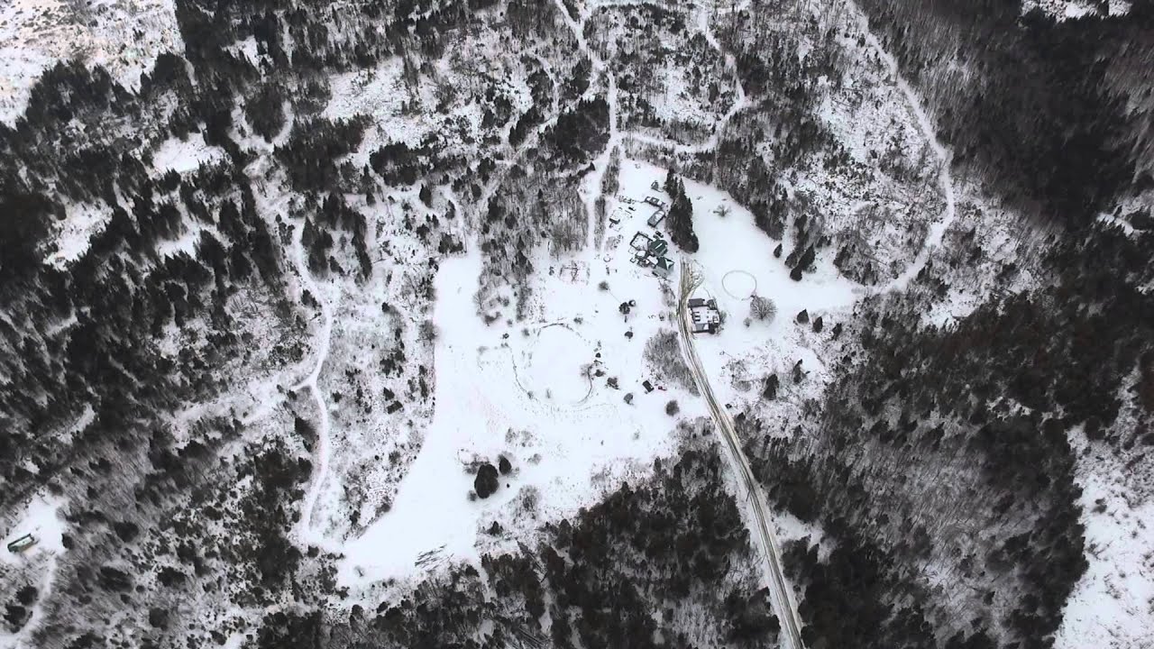 Tree Dog Kennels - Cabot VT