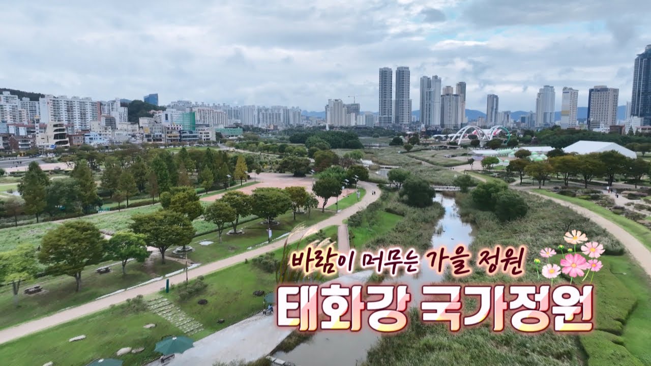[테마기행 길] 바람이 머무는 가을 정원, 태화강 국가정원/251114 울산MBC 방송