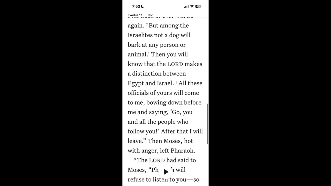 Feb 2 ~ Exodus 11