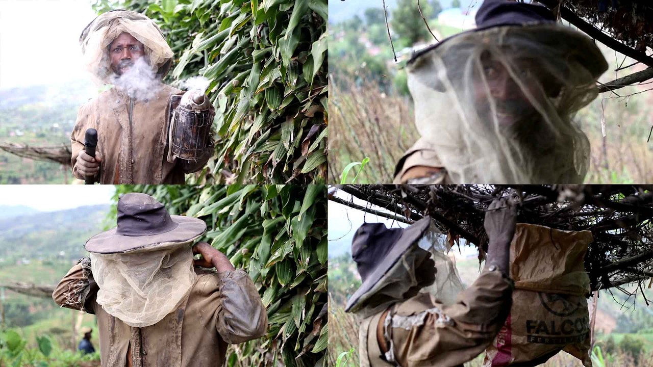 NYARUGURU HARI UMUGABO UFITE UBUHANGA BWO GUFATA INZUKI