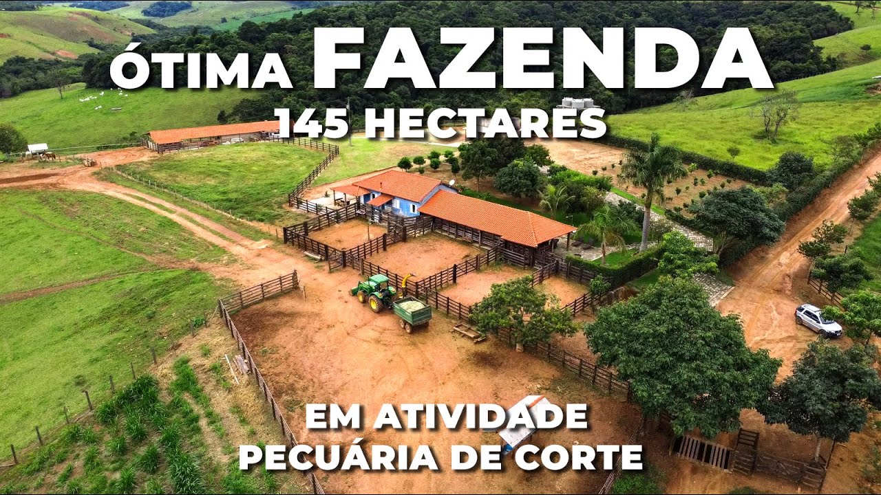 ÓTIMA FAZENDA 145 HA, CRIA E RECRIA DE NELORES, PASTO FORMADO, MUITA ÁGUA, BOA ESTRUTURA E ACESSO