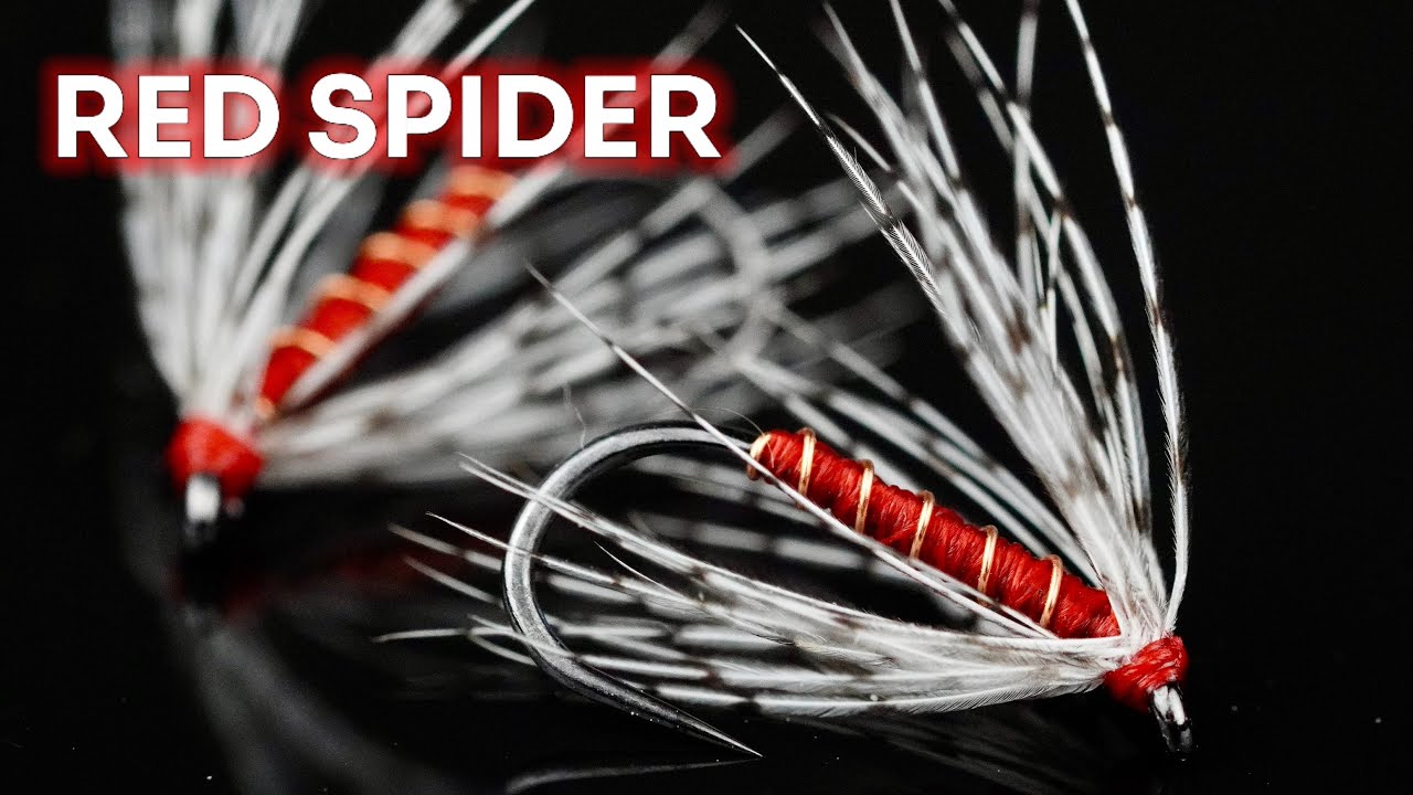 Mokra mucha Spider | Red and White Spider - classic wet fly tying