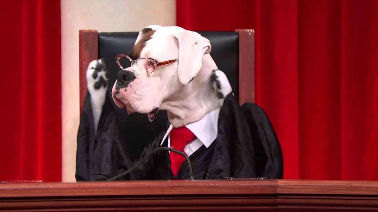 #RealAnimalsFakePaws