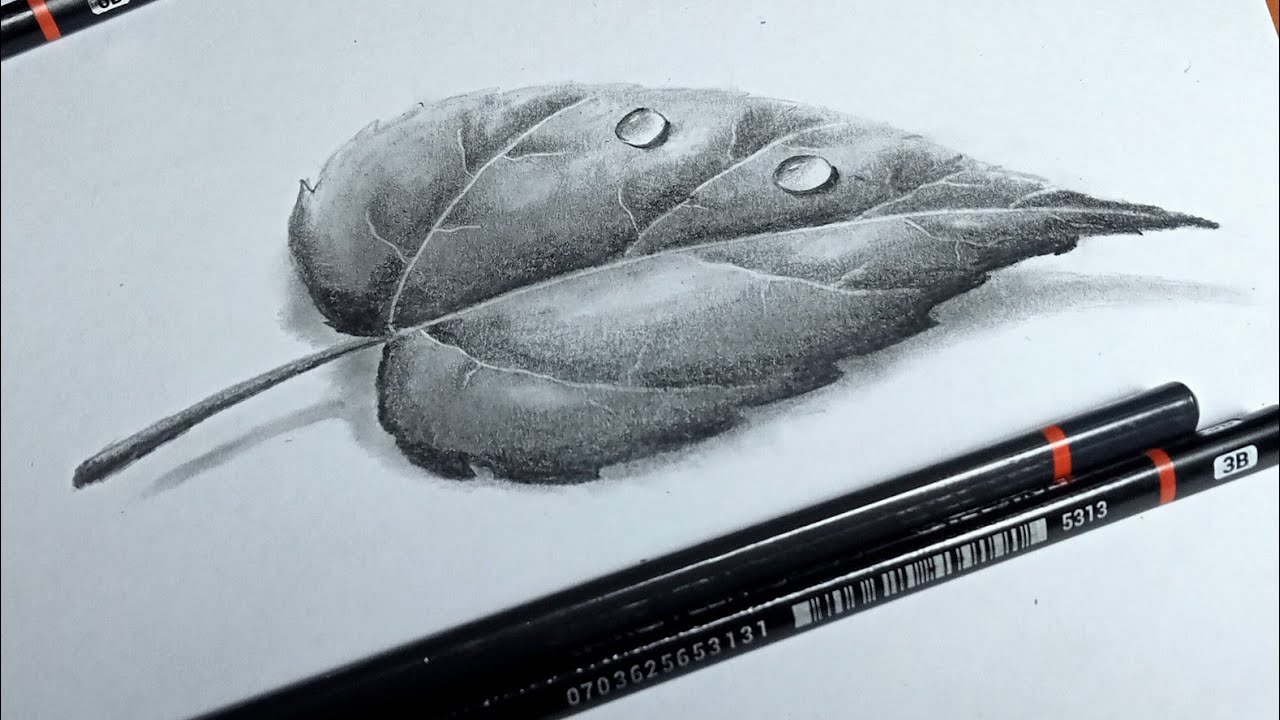 تعلم رسم ورقة شجر | رسم ورقة شجر بقلم الرصاص | رسم ثلاثي الابعاد | رسم سهل | تعليم الرسم