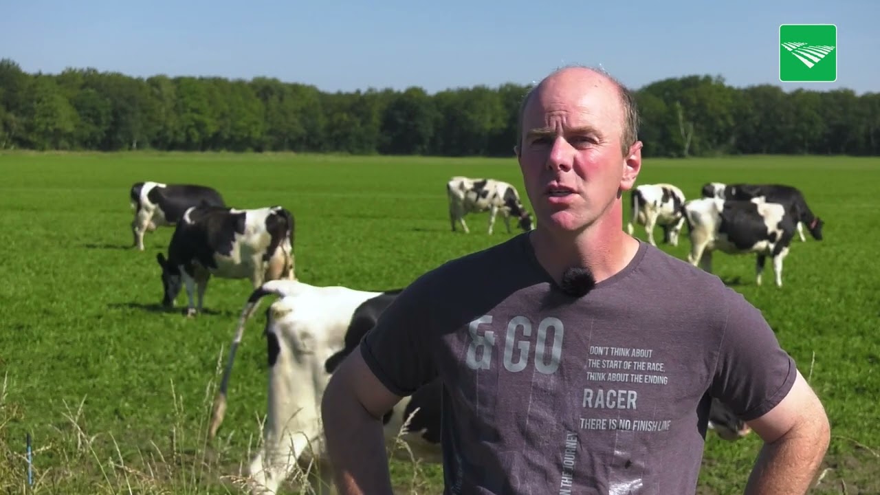 Einde dreigt voor melkveehouders bij De Peel