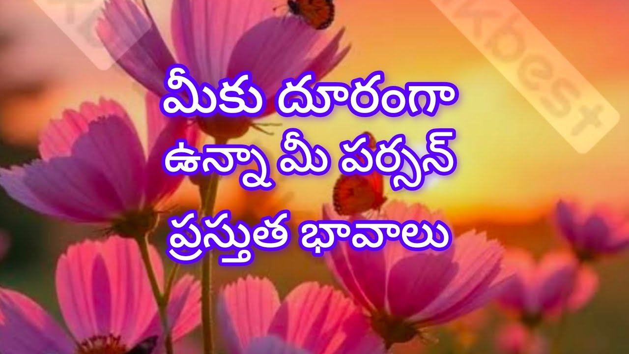 మీకు దూరంగా ఉన్న మీ పర్సన్ ప్రస్తుత భావాలు