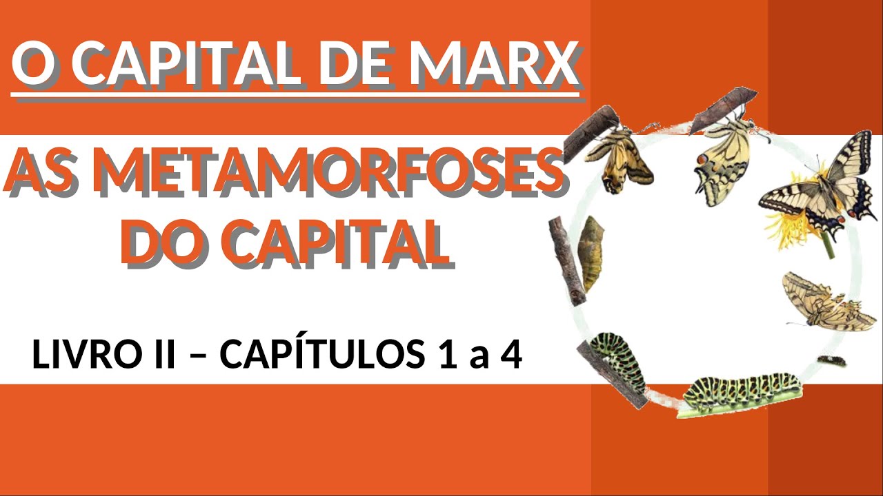 AS METAMORFOSES DO CAPITAL | O CAPITAL DE MARX: Livro II: Cap. 1-4  VID #2