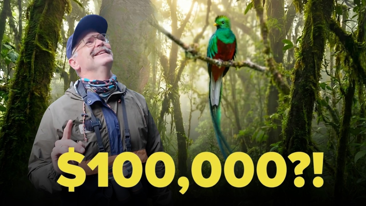 $100,000 For This Bird