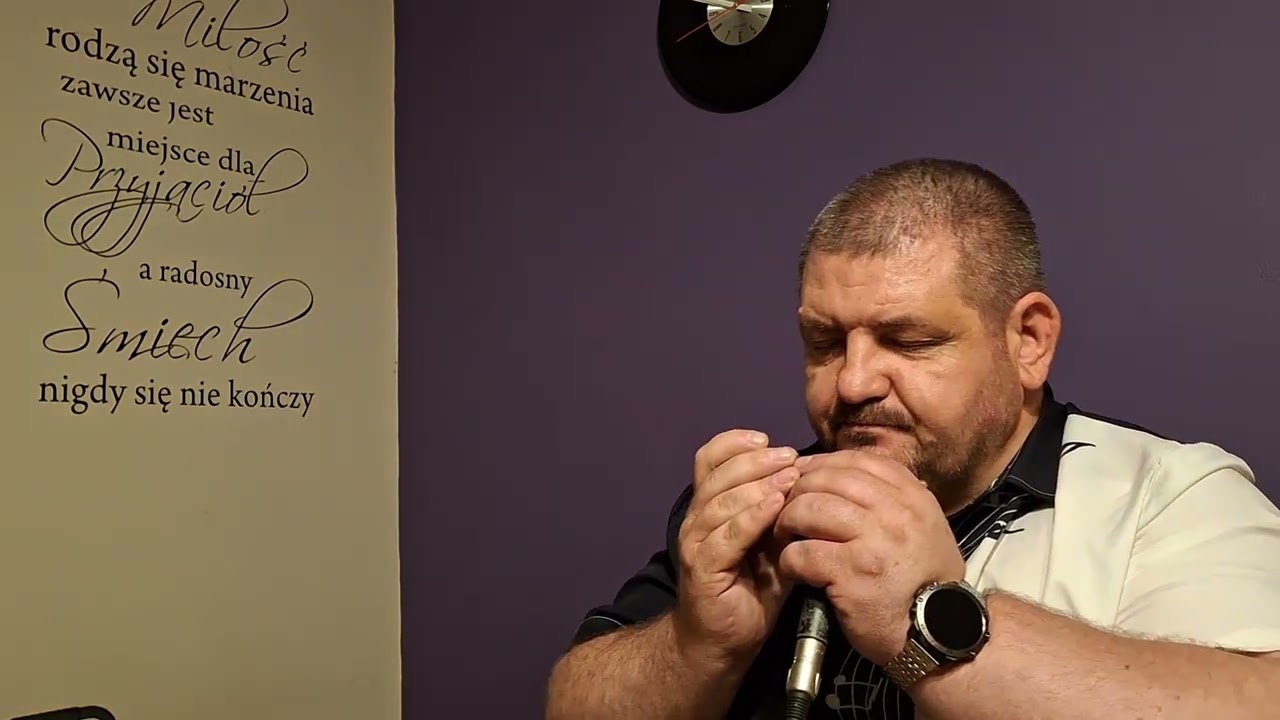 Serenada - d-moll - Franz Schubert - chromatic harmonica