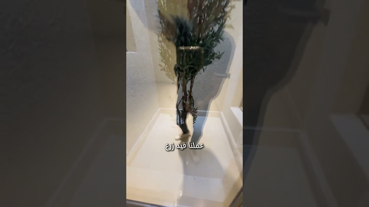 متابعة لحظة بلحظة لأكبر مشاريع أملاك 🔥

من أول التصميم… لحد ما الحلم بقى حقيقة على أرض الواقع ❤
شوف