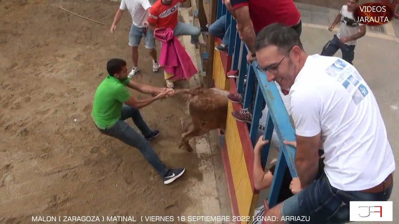 MALON ( ZARAGOZA ) MATINAL VACAS PLAZA ( VIERNES 16 SEPTIEMBRE 2022 ) ARRIAZU
