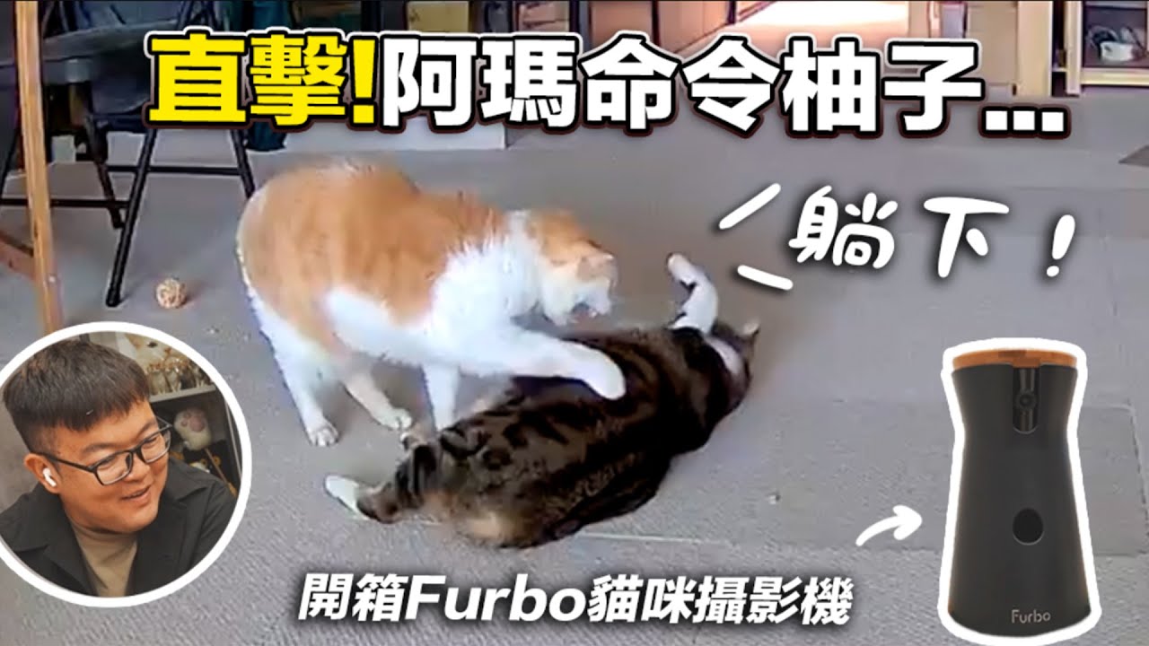 【直擊！阿瑪命令柚子…】志銘與狸貓 開箱#Furbo寵物攝影機