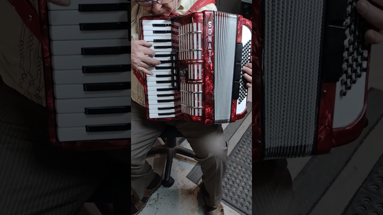 Sonata 80 Bass accordion demo