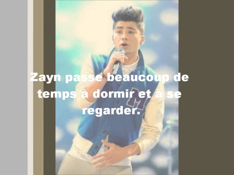 Zayn Malik - Facts Français