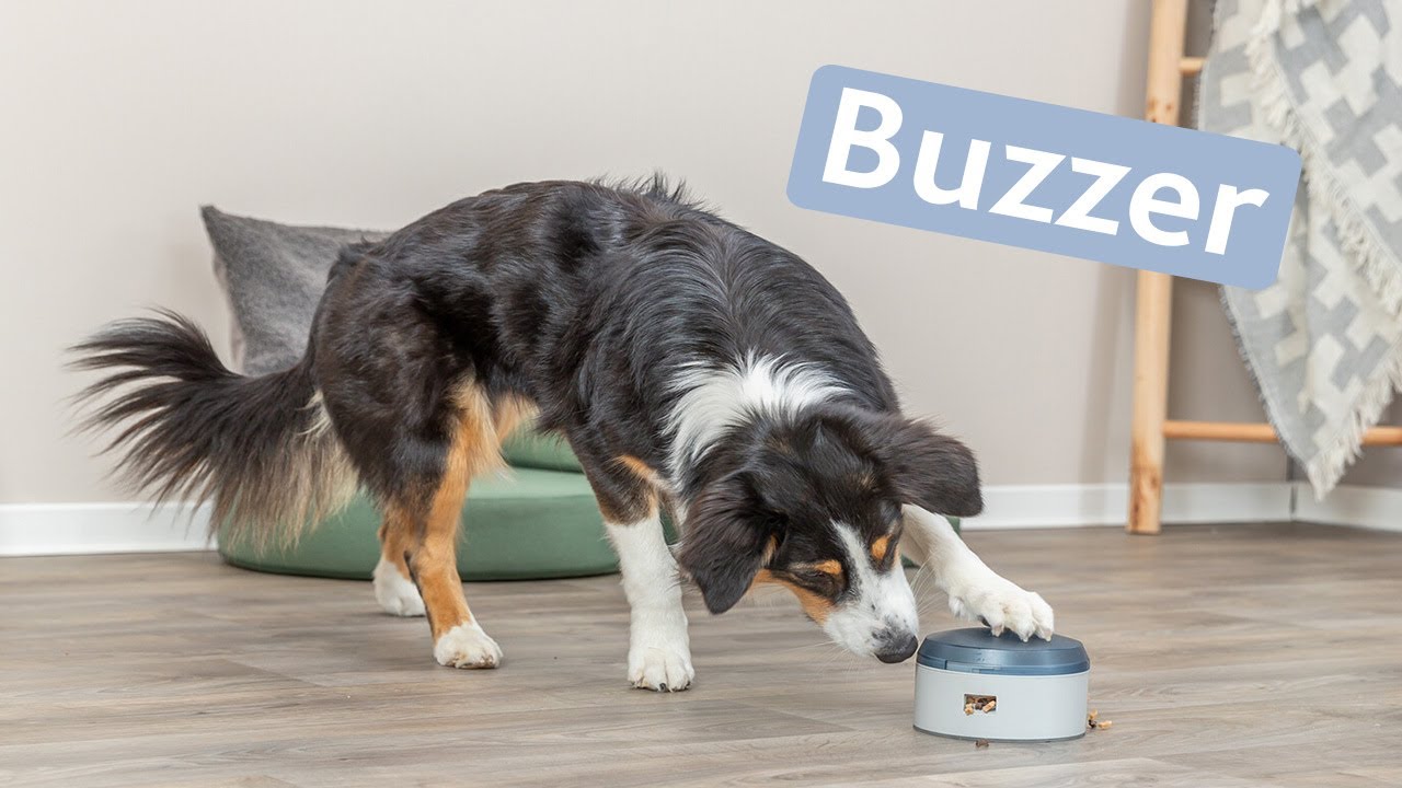 Buzzer fun for your dog &ndash; TRIXIE Heimtierbedarf