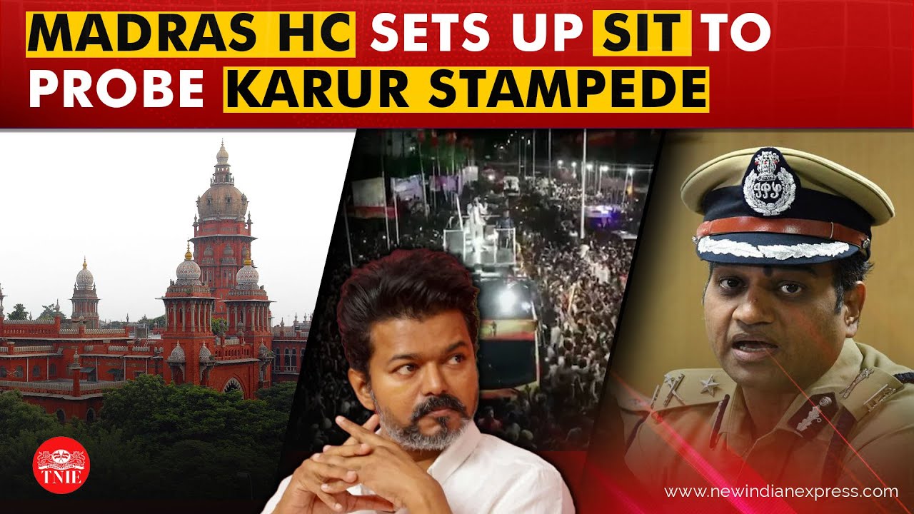 Madras High Court criticises TVK party chief Vijay and State Govt for Karur tragedy