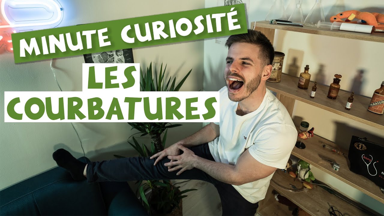 LES COURBATURES - Minute Curiosité