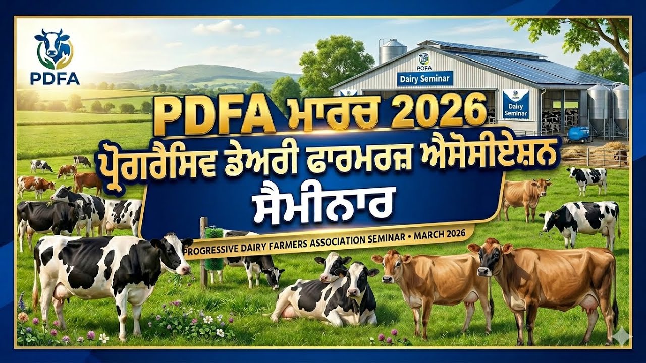 Startup Punjab 🦛🦏 is live