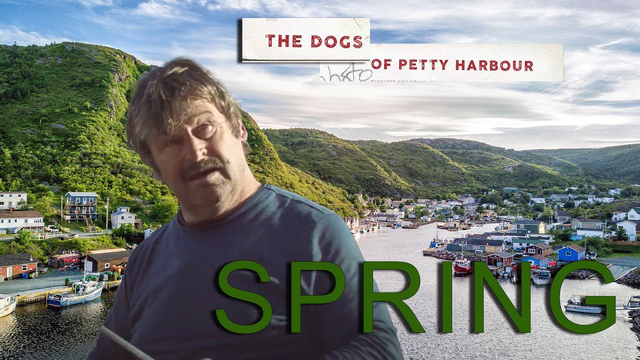 The Dogs Of Petty Harbour - Spring (EP2)