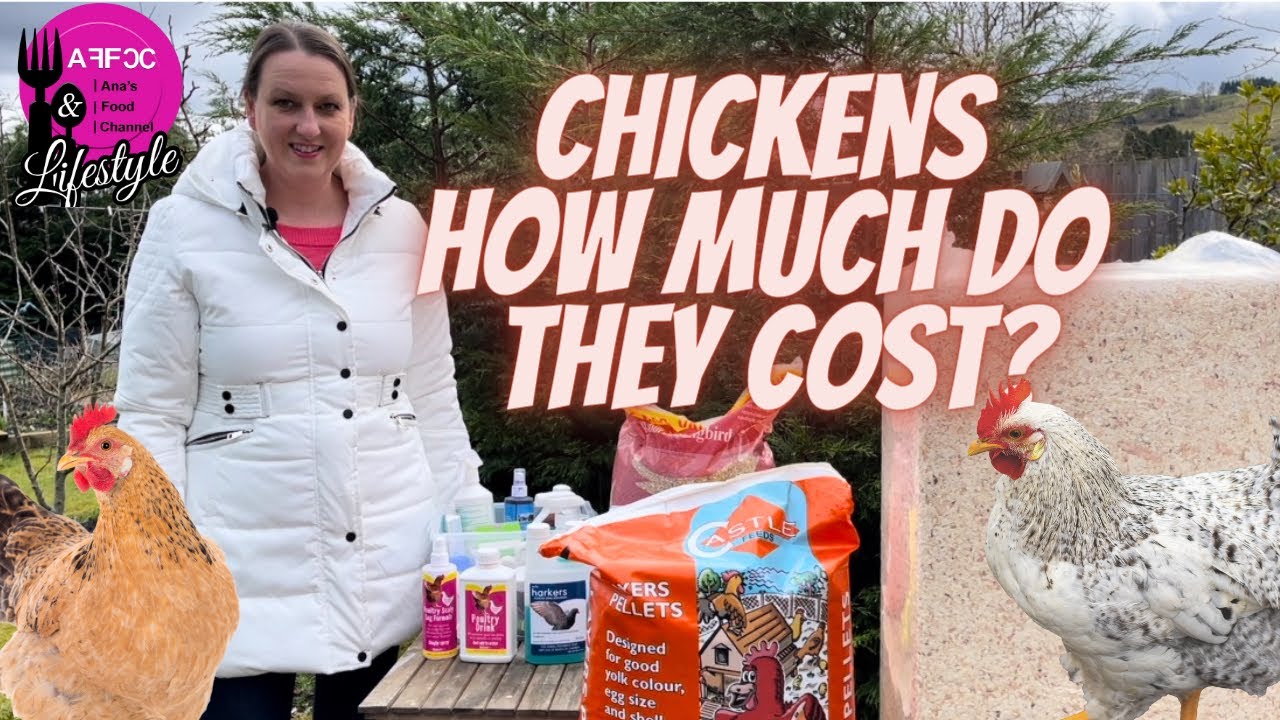 Keeping chickens in UK | How Much does it cost | UK prepper