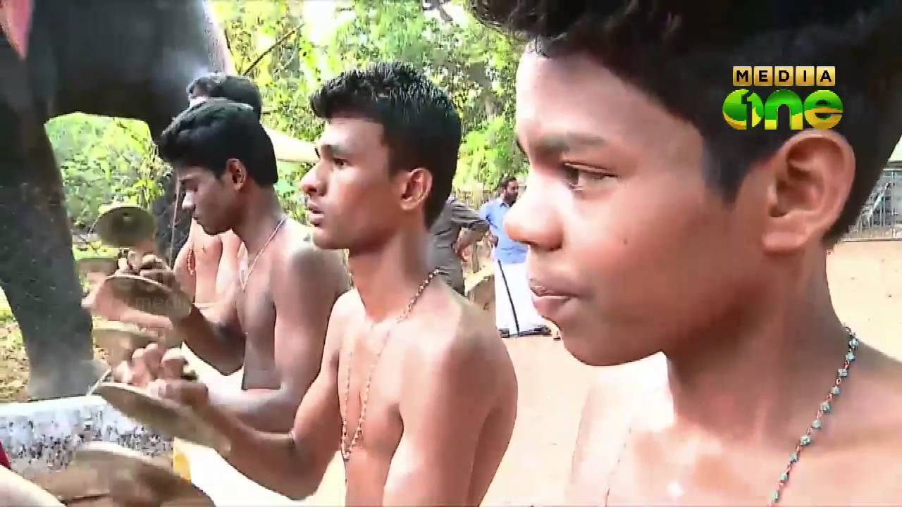 Peringode School to continue domination in Panchavadyam competition