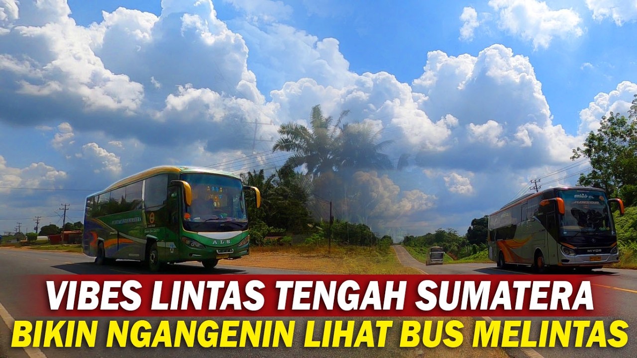 Suasana Lintas Tengah Siang Cuaca Bagus Gass untuk Hunting