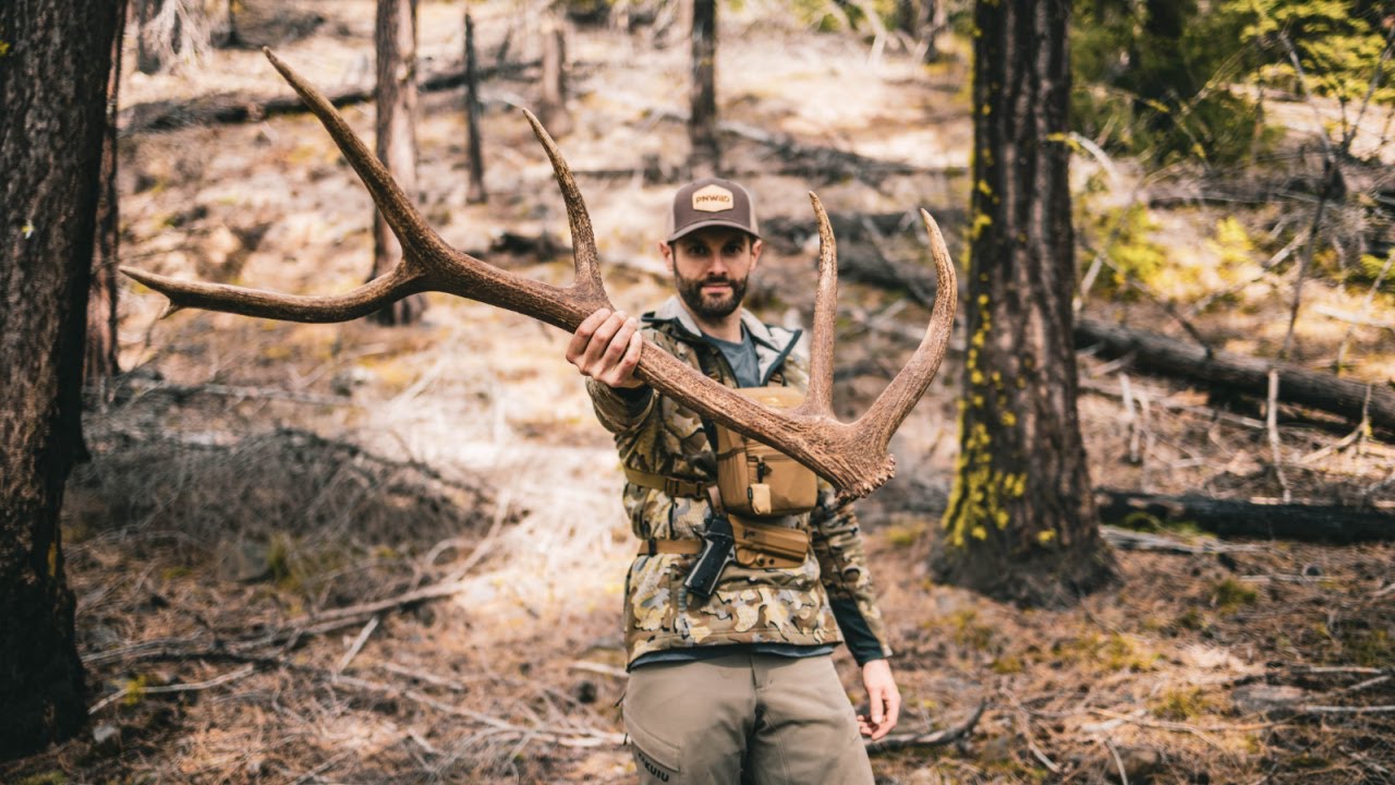 FINALLY found some BROWN GOLD!! Elk Sheds in Eastern Washington