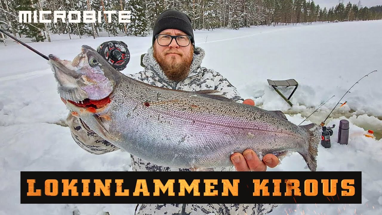Toisen onni on toisen epäonni / Lokinlammen seikkailut jatkuu