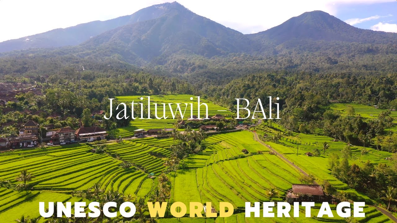 Jatiluwih Rice Terrace Bali | Warisan Budaya Dunia | Unesco World Heritage di Bali