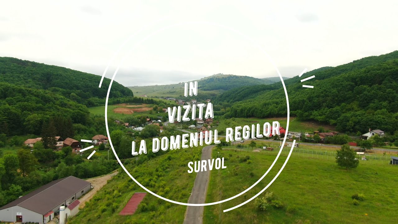 In vizita la  Domeniul Regilor in Ciurila