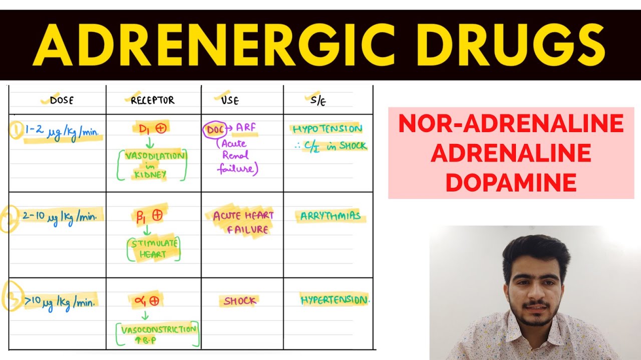 Autonomic Pharmacology - 15 | Nor-Adrenaline , Adrenaline & Dopamine | EOMS