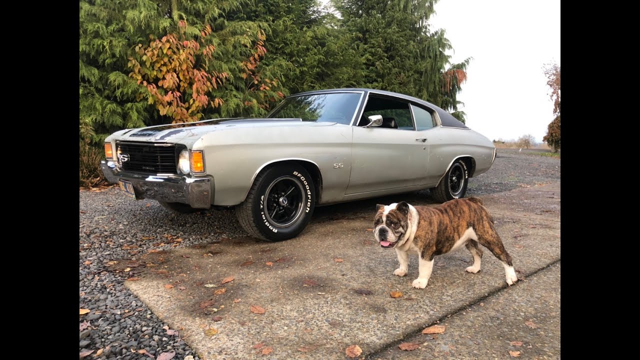 1972 Chevrolet Chevelle Super Sport - 40 Year ownership -DENWERKS - SS 350