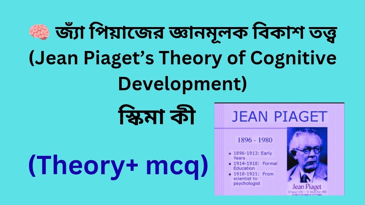 জ্যা ‌ পেঁয়াজের জ্ঞানমূলক বিকাশ তত্ত্ব ( Jean Piaget 's theory of cognitive development) CDP class🎯