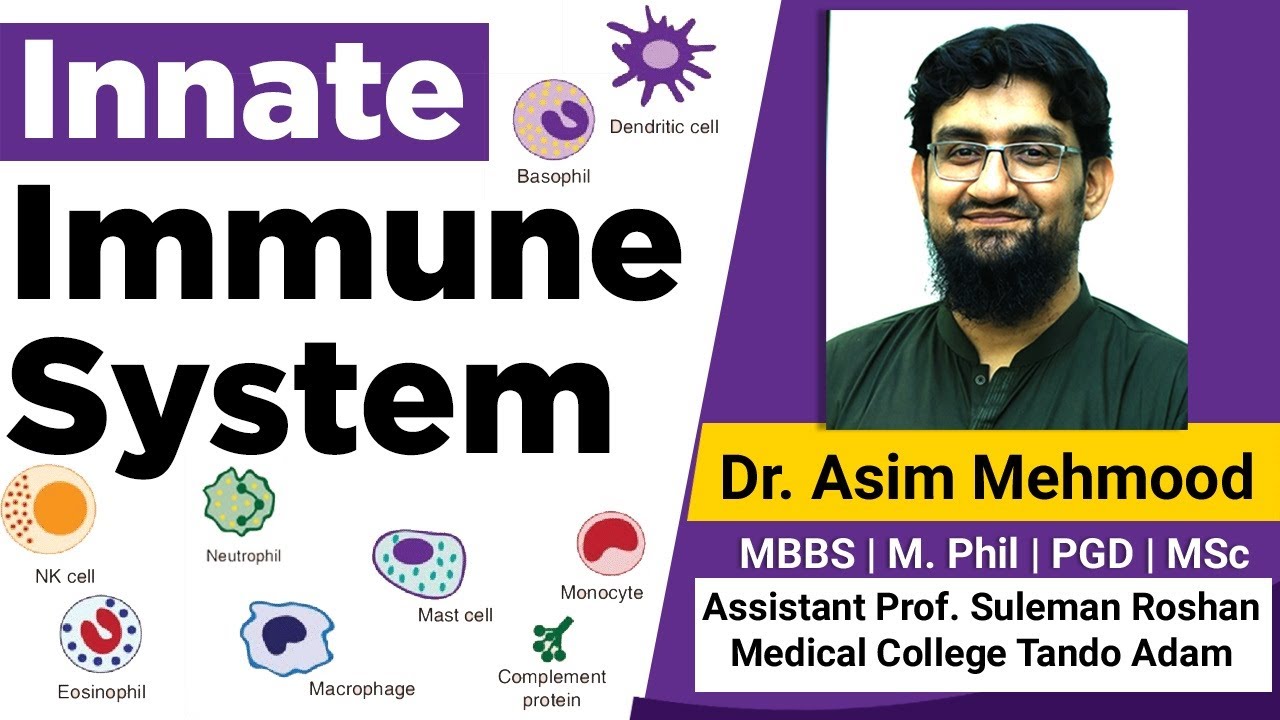 Immunology | Immune System |Innate Immune System Made Easy ( Hindi / Urdu)
