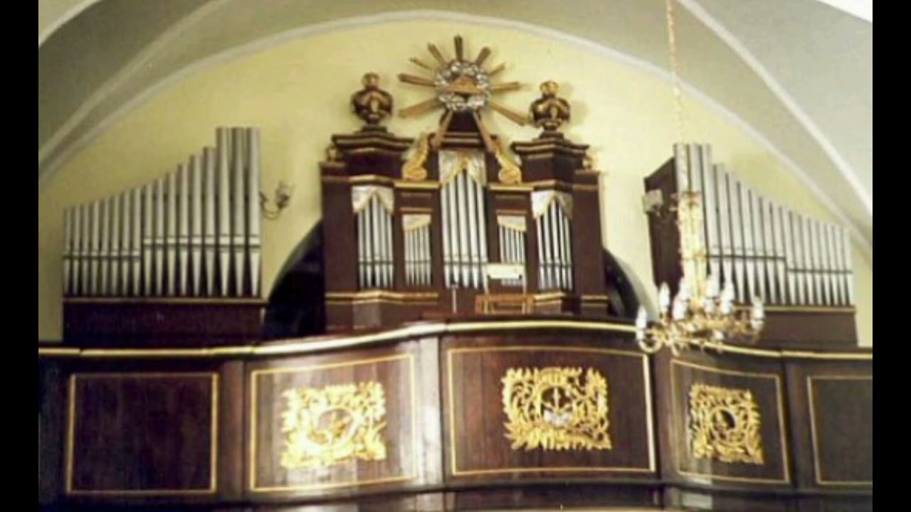Vivaldi/Bach: largo e spiccato BWV596