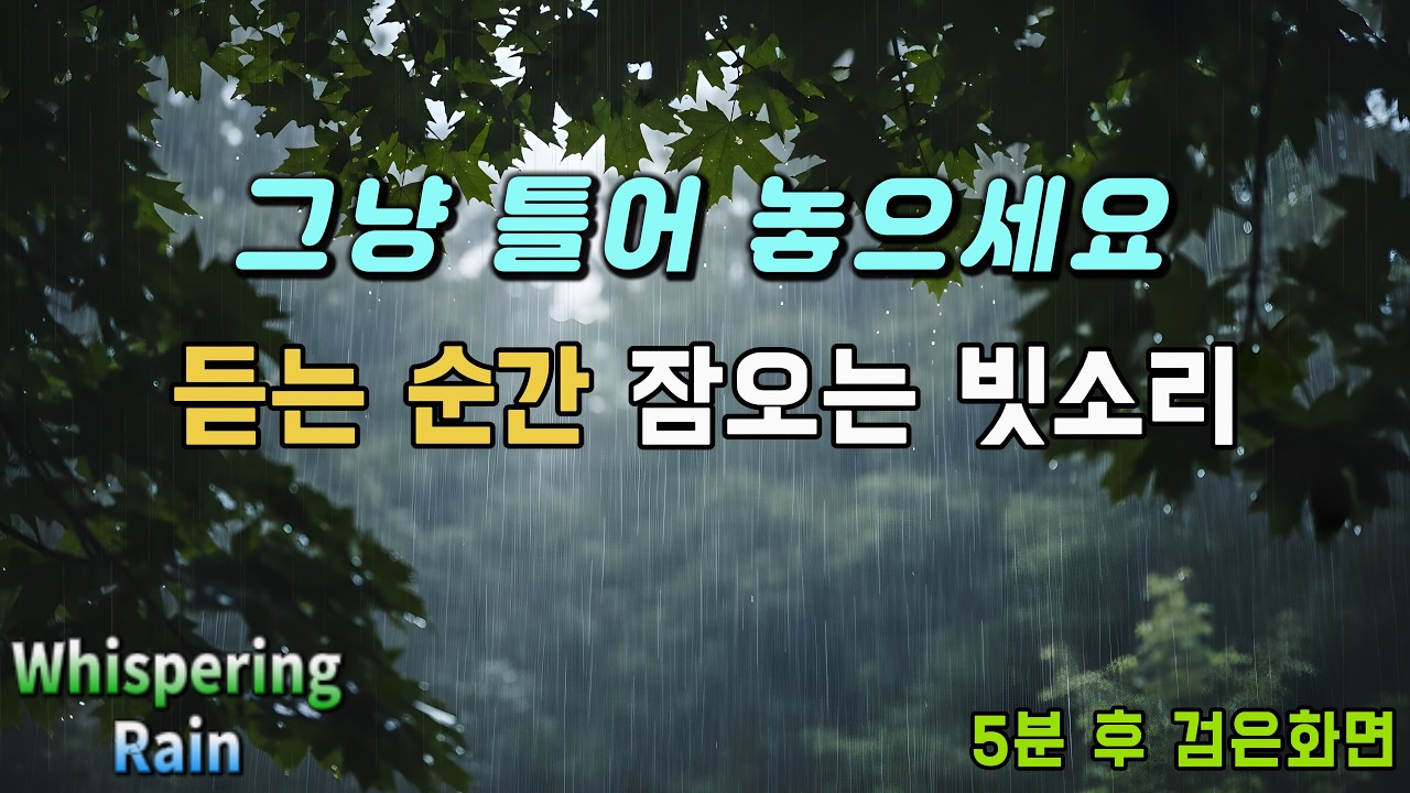 [빗소리 ASMR] 5분안에 무조건 잠드는 수면 유도 빗소리 | 5분후 검은화면