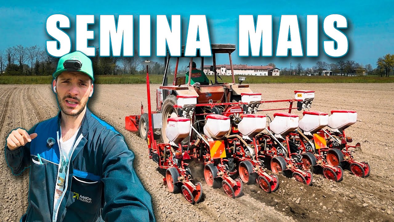 Semina mais 2025: mio papà scende in campo per seminare con il Fiatagri 88-93