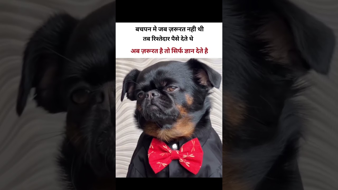 haye ristedaar 😀😤😭 #memeshorts #memeclip #memesvideo #virelshorts #ristedaar #sadstatus #virelshorts