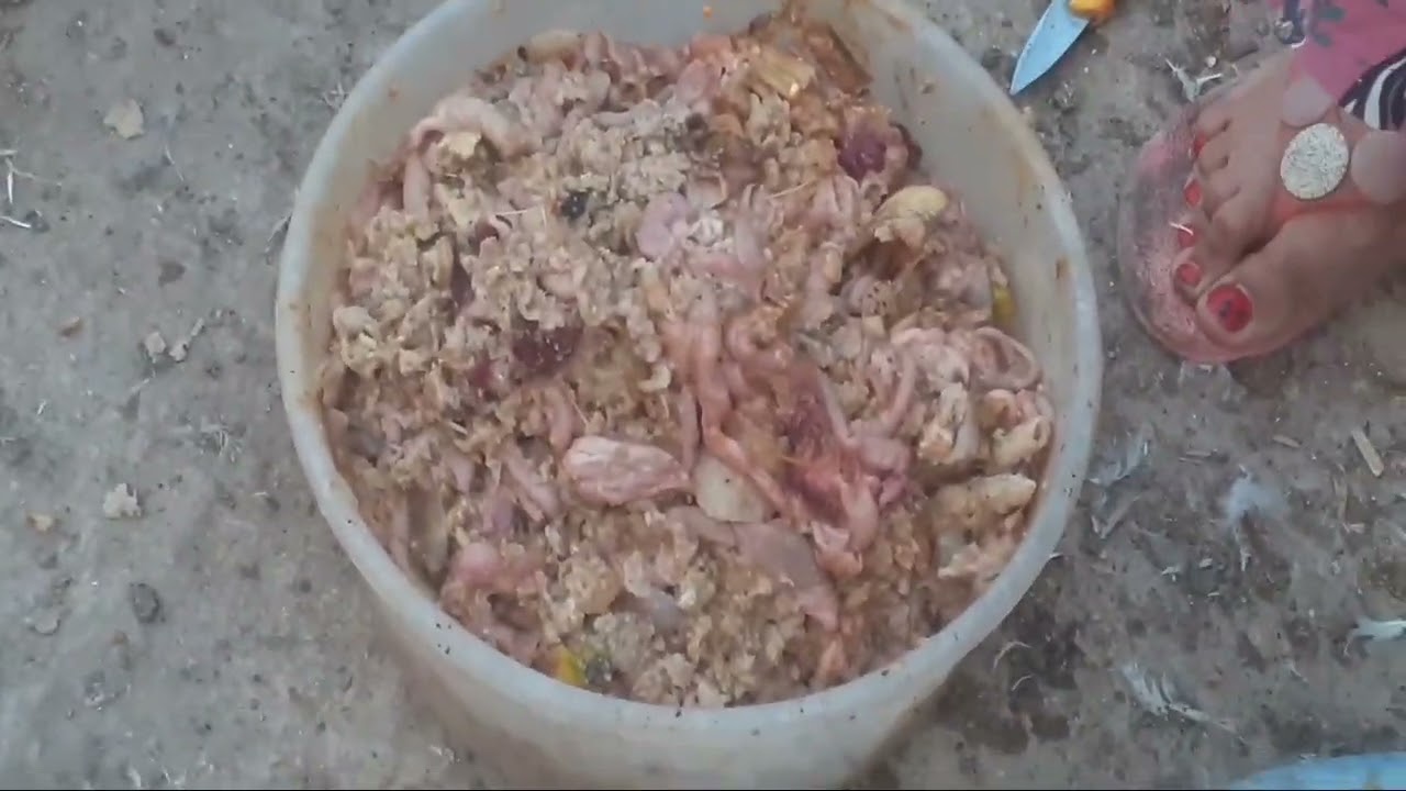 ايوه انا اللى ربيت فراخى البيضه على قشر الموز ومصارين فراخ والفرخه بتبقى زى الديك الرومى بتوصل ٦ كيل