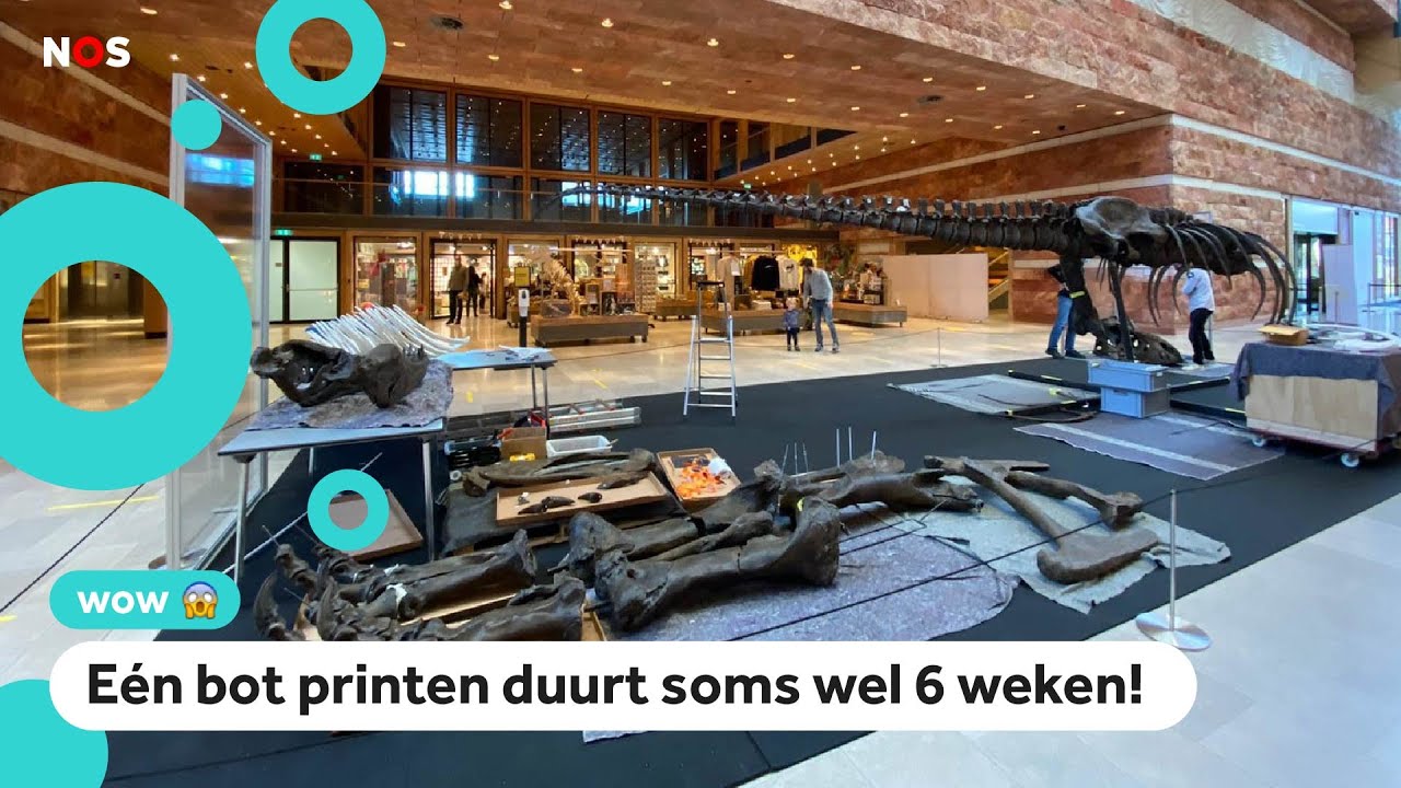 Wereldberoemde T. Rex Trix heeft tweelingzus uit 3D-printer