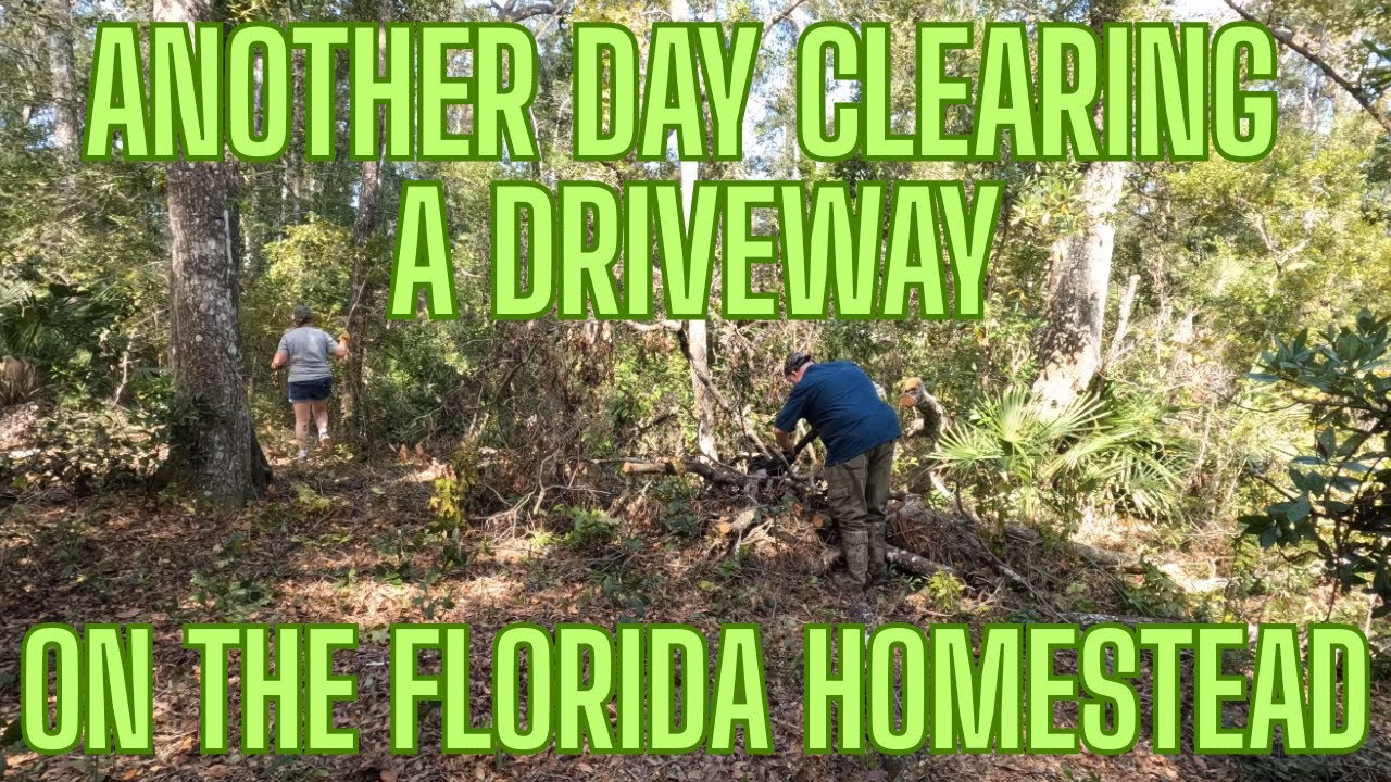 Join us for another day clearing a driveway on our new Florida Homestead!