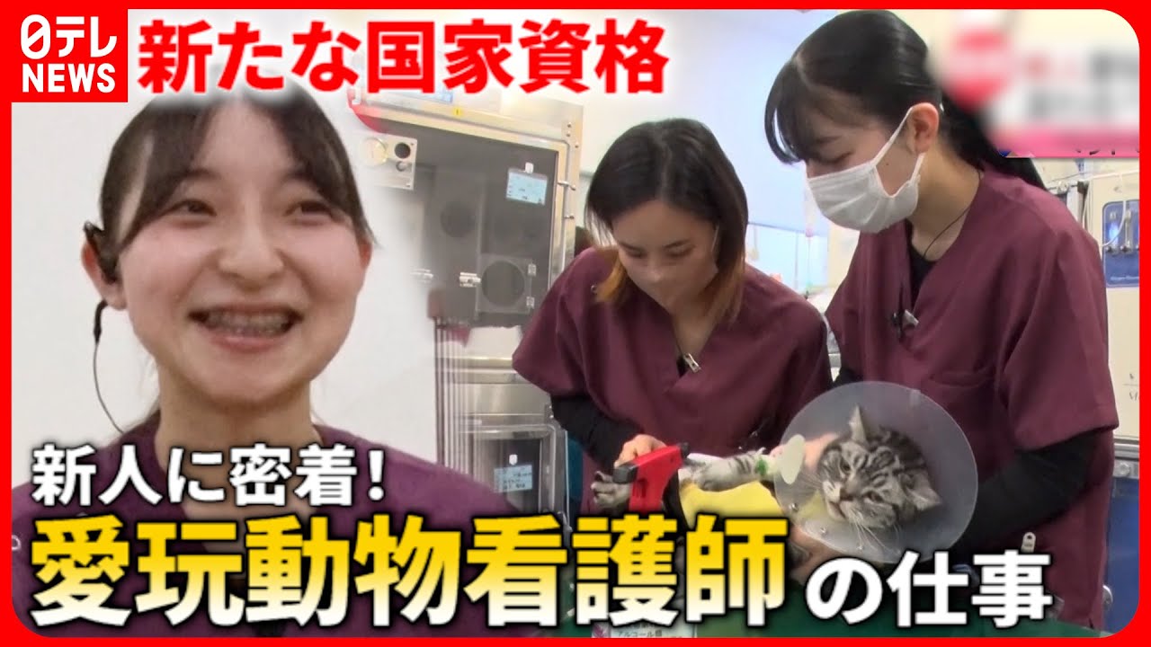 【密着】動物の命支えたい！新人の”愛玩動物看護師”の奮闘『every.特集』