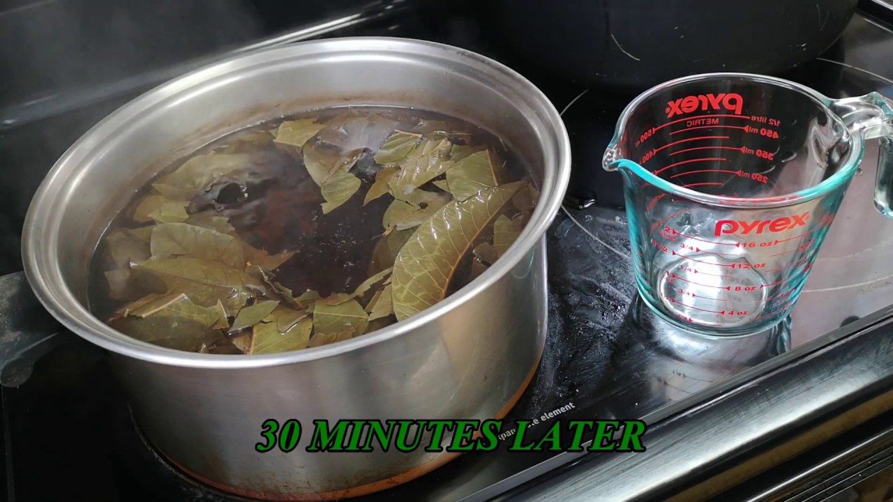 GUAVA  LEAF TEA - HOW I PREPARE