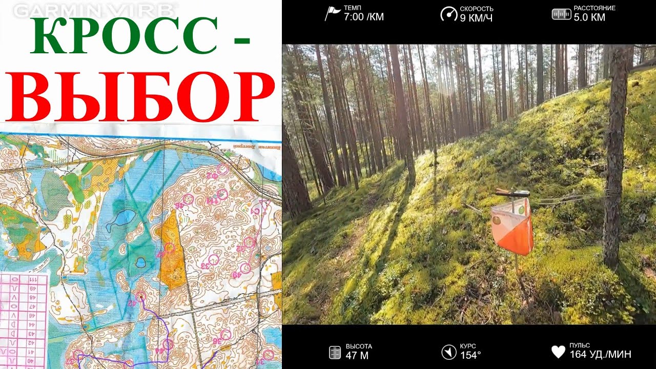 Спортивное ориентирование (headcam orienteering) - Фестиваль Активного отдыха 2025, выбор - 03.08.25