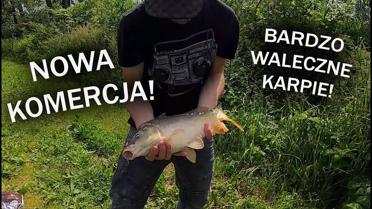 NOWA KOMERCJA! *BARDZO WALECZNE KARPIE!*