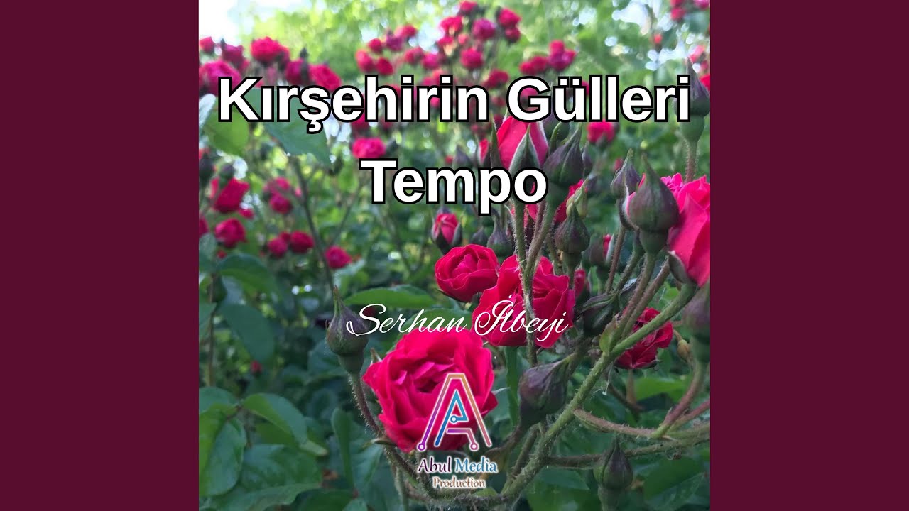 Kırşehirin Gülleri