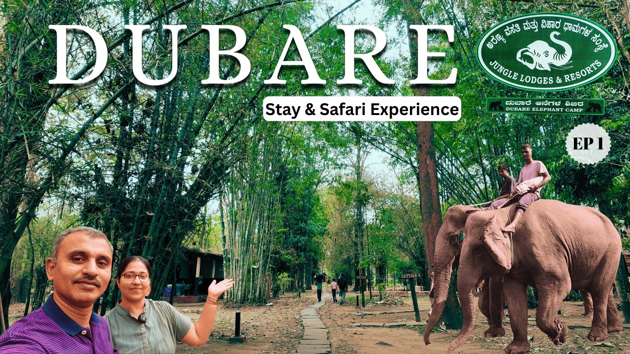 The Best Wildlife Safari at Dubare Jungle Lodges & Resorts in Coorg | Dubare Elephant Camp EP1