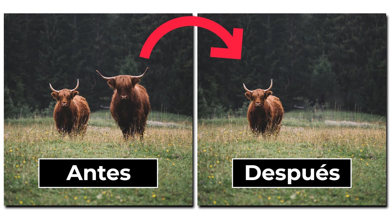 Cómo eliminar objetos y personas fácilmente en Photoshop 2021 🔥